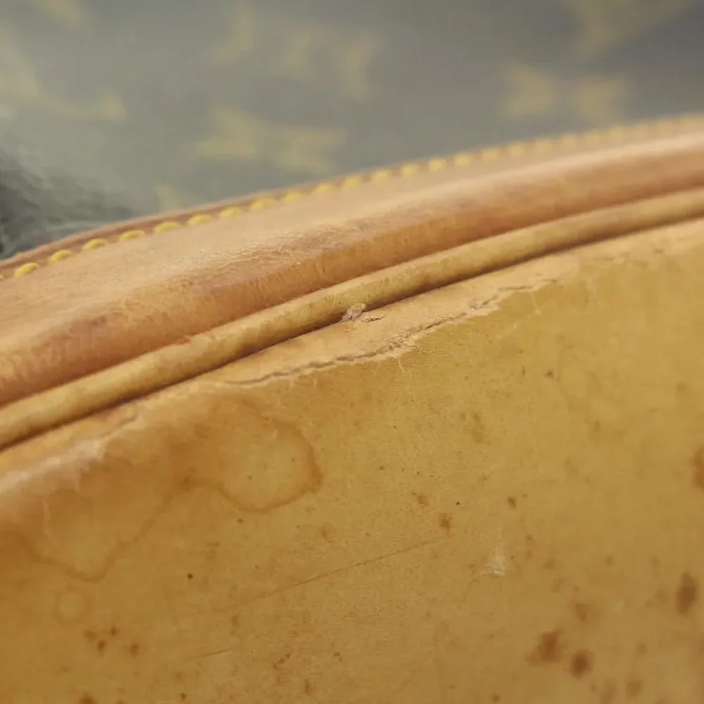 Louis Vuitton Montsouris Backpack Mini 6LV1121K